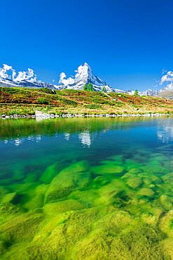 Matterhorn peak covered with snow reflected in the clear water of lake Leisee, Sunnegga, Zermatt, Valais Canton, Swiss Alps, Switzerland, Europe