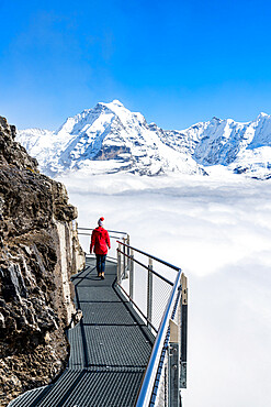 Woman admiring Jungfrau mountain in the fog from the Thrill Walk panoramic walkway, Murren Birg, Bern Canton, Swiss Alps, Switzerland, Europe