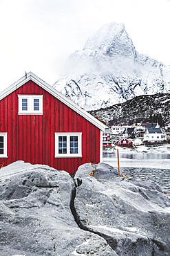 Red Rorbu in the frozen landscape with snowcapped Olstind mountain in the background, Reine, Nordland, Lofoten Islands, Norway, Scandinavia, Europe