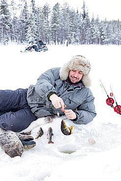 Cheerful man picking up the catch of fish from ice hole, Lapland, Sweden