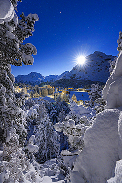 Frozen trees covered with snow on mountains above Chiesa Bianca lit by moon, Maloja, Bregaglia, Graubunden, Engadin, Switzerland