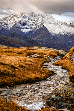 Flowing water of stream at foot of Monte Disgrazia in autumn, Alpe Fora, Valmalenco, Valtellina, Lombardy, Italy, Europe