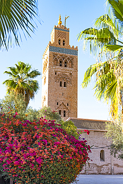 Old minaret tower of Koutoubia Mosque, UNESCO World Heritage Site, framed by flowers in spring, Marrakech, Morocco, North Africa, Africa