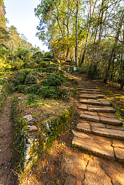 Steps on path, Wuyi Mountains, UNESCO World Heritage Site, Fujian, China, Asia