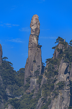 Giant granite pillar, The Taoist Sanqing Mountain, UNESCO World Heritage Site, Jiangxi, China, Asia