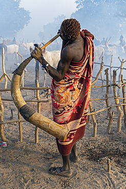 Man blowing a massive cow horn to signal the cows to come back, Mundari tribe, South Sudan, Africa