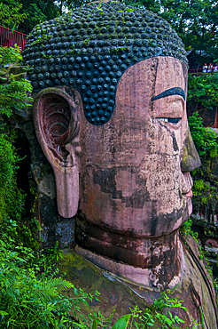 Leshan Giant Buddha, the largest stone Buddha on earth, Mount Emei Scenic Area, UNESCO World Heritage Site, Leshan, Sichuan, China, Asia