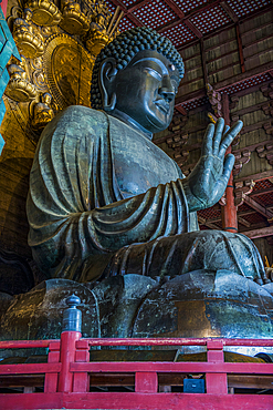 Big Buddha, Daibutsuden (Big Buddha Hall), Todaiji Temple, UNESCO World Heritage Site, Nara, Kansai, Honshu, Japan, Asia