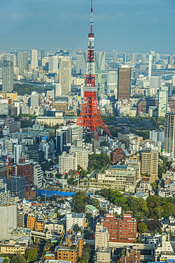 View over Tokyo with the Tokyo Tower, from the Mori Tower, Roppongi Hills, Tokyo, Honshu, Japan, Asia