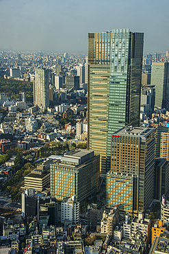 View over Tokyo from the Roppongi Hills, Tokyo, Honshu, Japan, Asia