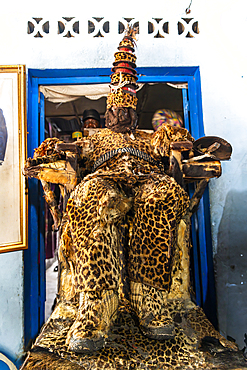 Spiritual leader dressed in leopard skin in the Church of Black People in Mbandaka, Equateur province, Democratic Republic of Congo, Africa