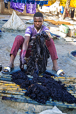 Men dying Indigo blue, Kofar Mata Dye Pits, Kano, Nigeria