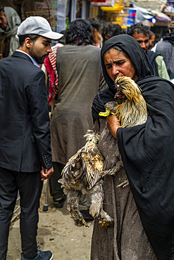 Huge chicken, Bird street, Kabul, Afghanistan