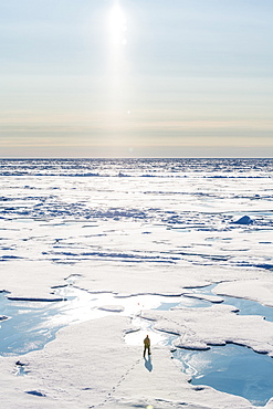 Watchguard at North Pole, Arctic