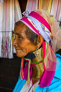 Portrait of a Padaung woman (Giraffe woman) (Long-necked woman), Loikaw area, Panpet, Kayah state, Myanmar (Burma), Asia