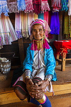 Portrait of a Padaung woman (Giraffe woman) (Long-necked woman), Loikaw area, Panpet, Kayah state, Myanmar (Burma), Asia