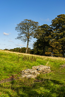 Remains from Bar Hill Fort, Antonine Wall, UNESCO World Heritage Site, Scotland, United Kingdom, Europe