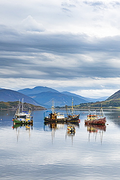 Fishing boats, Bay of Ullapool, Ross and Cromarty, Highlands, Scotland, United Kingdom, Europe