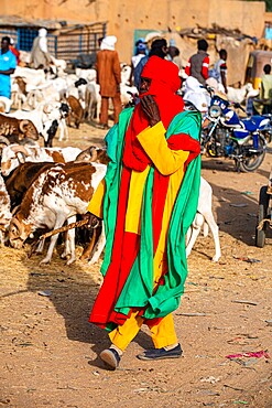 Bodyguards of the Sultan of Agadez, Animal market, Agadez, Niger, Africa