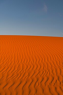 Sand ripples in the sand dunes of the Tenere Desert, Sahara, Niger, Africa