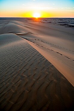 Sunset over the sand dunes, Djado Plateau, Sahara, Niger, Africa