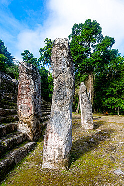 Calakmul, UNESCO World Heritage Site, Campeche, Mexico, North America