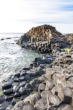 The Giants Causeway, UNESCO World Heritage Site, County Antrim, Ulster, Northern Ireland, United Kingdom, Europe 