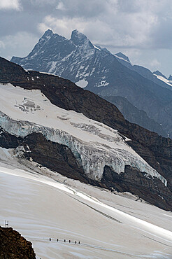 Hikers on the Aletsch Glacier from the Jungfraujoch, Bernese Alps, Switzerland, Europe