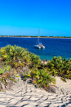 Shela beach, island of Lamu, Kenya, East Africa, Africa