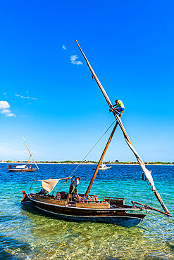 Boy climbing on the mast of a traditional dhow, island of Lamu, Kenya, East Africa, Africa