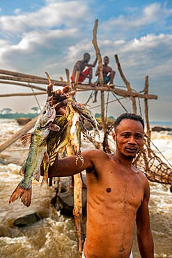 Man showing his fresh catch, Wagenya tribe, Kisangani, Congo River, Democratic Republic of the Congo, Africa