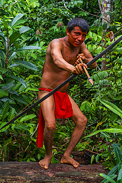 Yanomami man with bow and arrow on a log, Yanomami tribe, southern Venezuela, South America