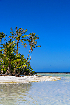 Palm fringed motu in the Blue Lagoon, Rangiroa atoll, Tuamotus, French Polynesia, South Pacific, Pacific