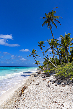 White sand PK-9 beach, Fakarava, Tuamotu archipelago, French Polynesia, South Pacific, Pacific