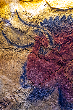 Altamira Cave, UNESCO World Heritage Site, Cantabria, Spain, Europe