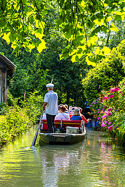 Tourists on a punt trip, UNESCO Biosphere Reserve, Spree Forest, Brandenburg, Germany, Europe