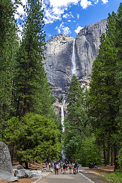 Yosemite Falls, highest waterfall, Yosemite National Park, UNESCO World Heritage Site, California, United States of America, North America