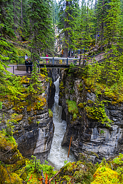 Maligne Canyon, Jasper National Park, UNESCO World Heritage Site, Alberta, Canadian Rockies, Canada, North America