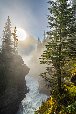 Athabasca Falls at sunrise, Glacier Parkway, Jasper National Park, UNESCO World Heritage Site, Alberta, Canadian Rockies, Canada, North America