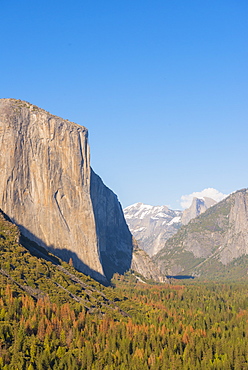 El Capitan, Yosemite National Park, UNESCO World Heritage Site, California, United States of America, North America