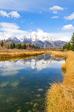 Schwabacher landing, Teton Range, Grand Teton National Park, Wyoming, United States of America, North America