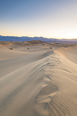 Mesquite flat sand dunes in Death Valley National Park, California, United States of America, North America