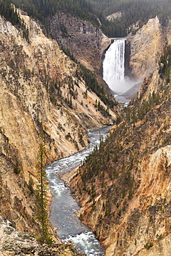 Yellowstone National Park, UNESCO World Heritage Site, Wyoming, United States of America, North America