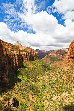 Canyon overlook, Zion National Park, Utah, United States of America, North America