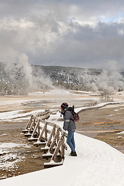 Yellowstone National Park, UNESCO World Heritage Site, Wyoming, United States of America, North America