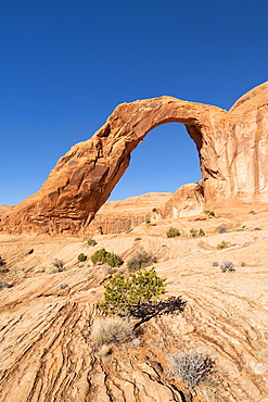 Corona Arch and Bootlegger Canyon, Moab, Utah, United States of America, North America