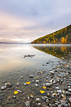 Sunrise on the shore of Lake McDonald, Glacier National Park, Montana, United States of America, North America