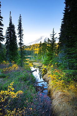 Reflection Lake, Mount Rainier National Park, Washington State, United States of America, North America