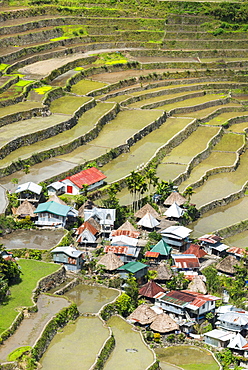 Batad, UNESCO World Heritage Site, Luzon, Philippines, Southeast Asia, Asia