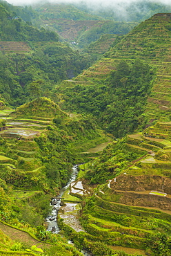 Rice Terraces, Banaue, UNESCO World Heritage Site, Luzon, Philippines, Southeast Asia, Asia